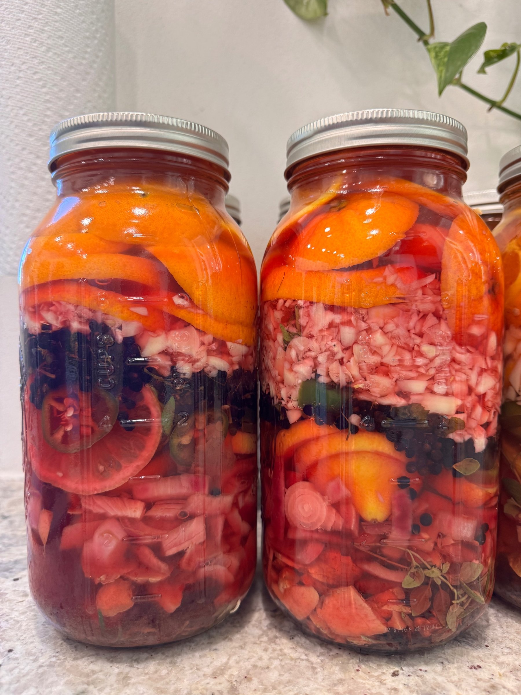Two half-gallon jars of Fire Cider infusing, layered with orange peel, garlic, elderberries, jalapeño, lemon and ginger under vinegar